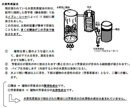 オリジナル教材 通勤中も勉強できる 便利なアロマテラピー検定対策ドリル 別冊 特典 アロマテラピー検定対策 練習問題集 付き アロマテラピー教室 Natural Herb ナチュラルハーブ